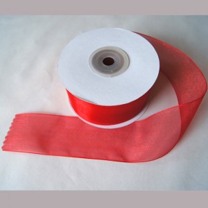 Bild 1 Organzaband Rot 40 mm breit 
