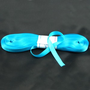 Bild 1 Satinband Türkis 10 mm breit 